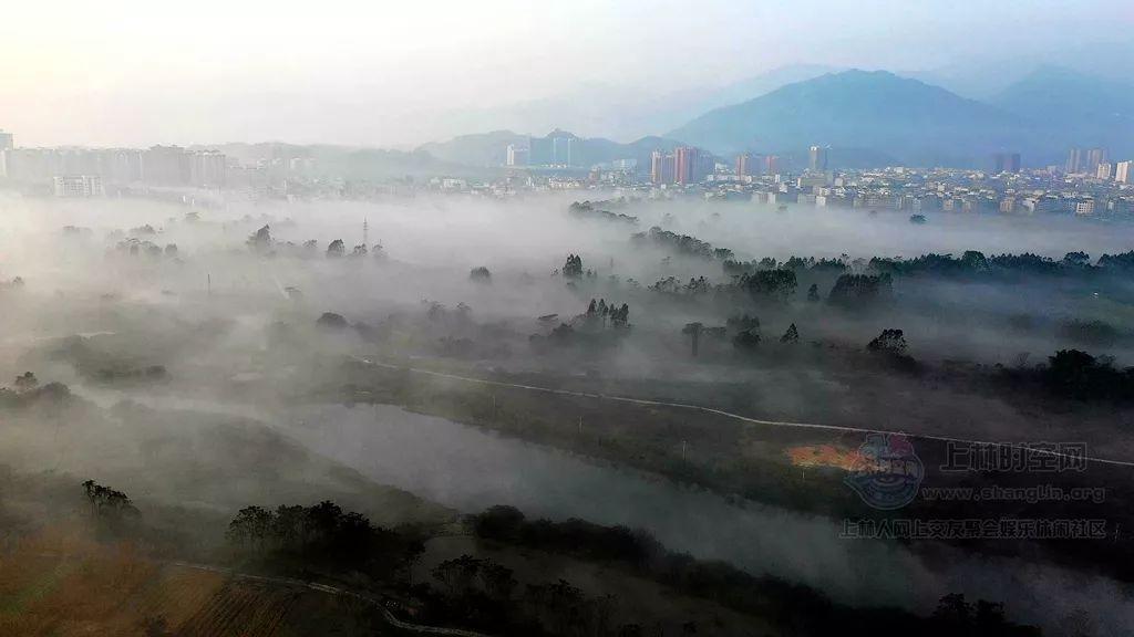 骑士的侍从
