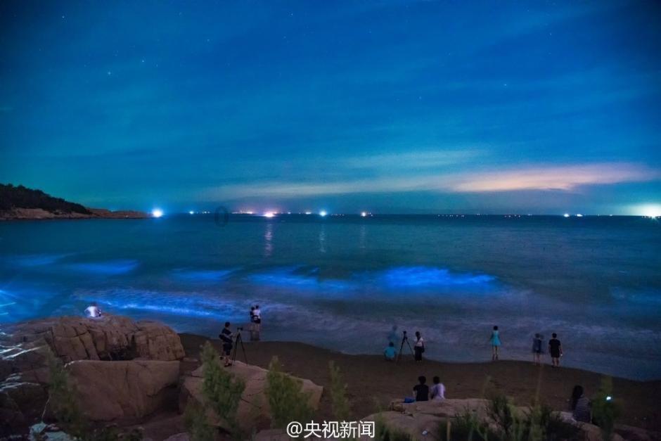 沪江开心词场