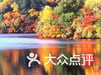 万词王
