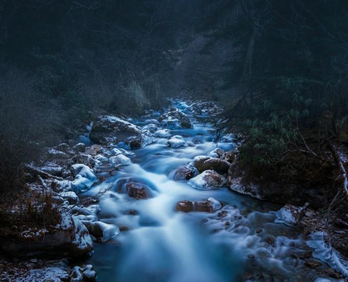春雨直播app