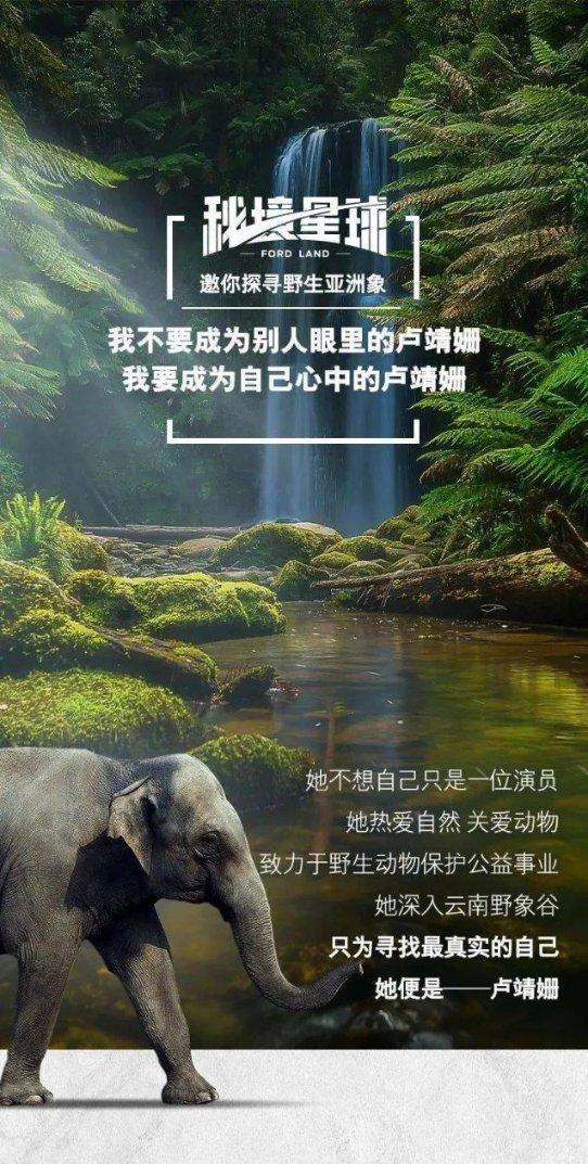 全民烧脑3去广告版