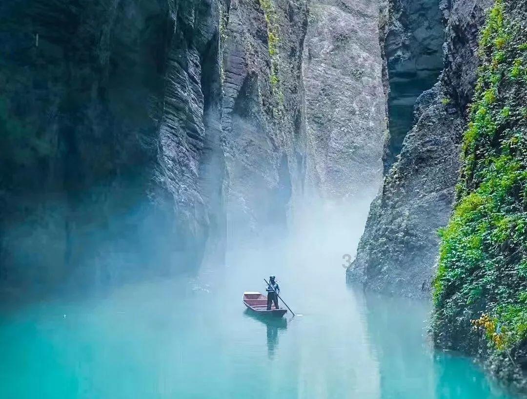 创作猫
