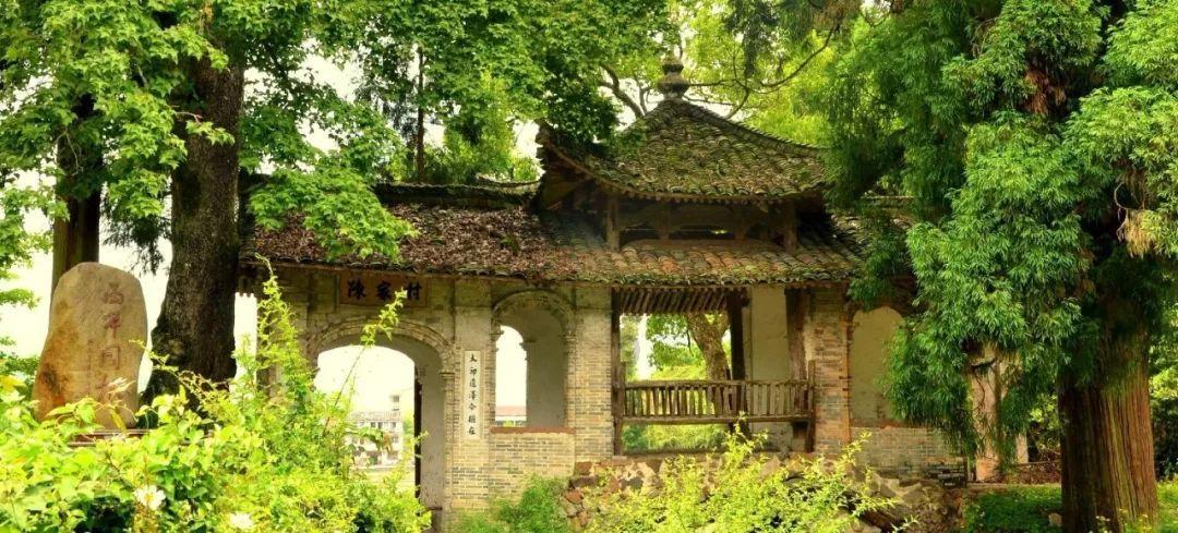 虫虫助手下载