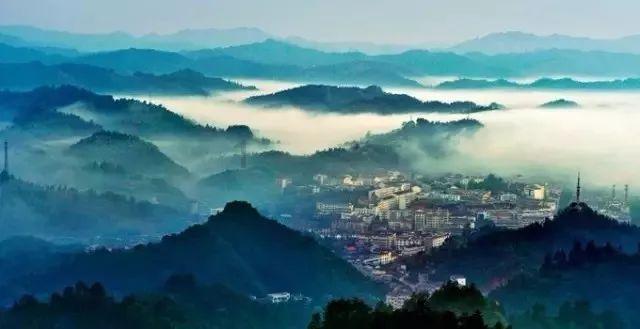 《草莓在盆栽里种好还是在地里种好?:发现兴趣,分享知识》