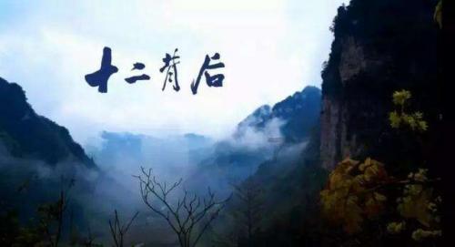 小猫钓鱼正版下载中文版