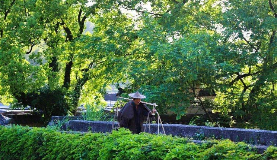 三亚海岸警察救助放生国家一级保护动物绿海龟