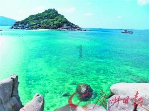 春雨直播app