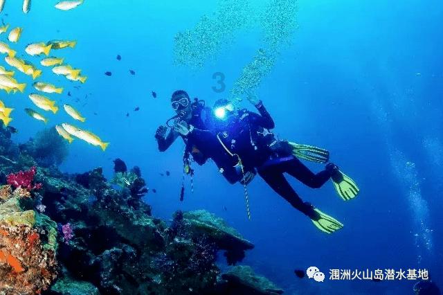 爱丽丝和闺蜜