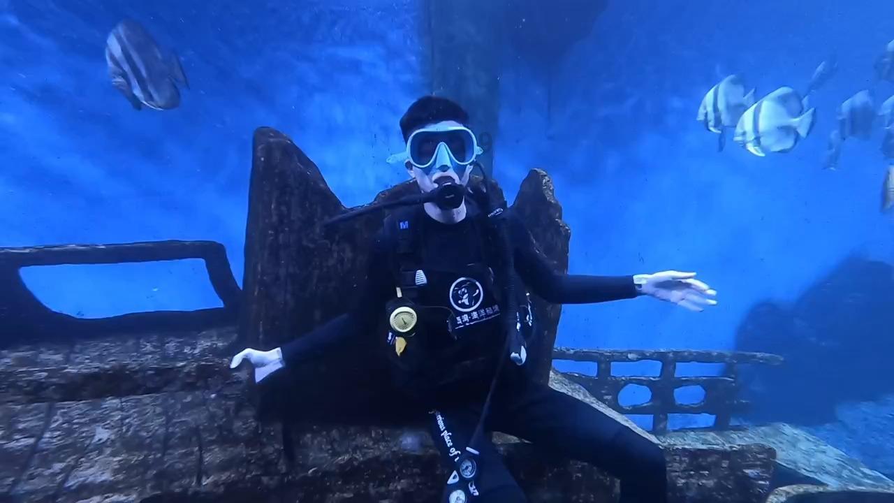 蓝狐视频