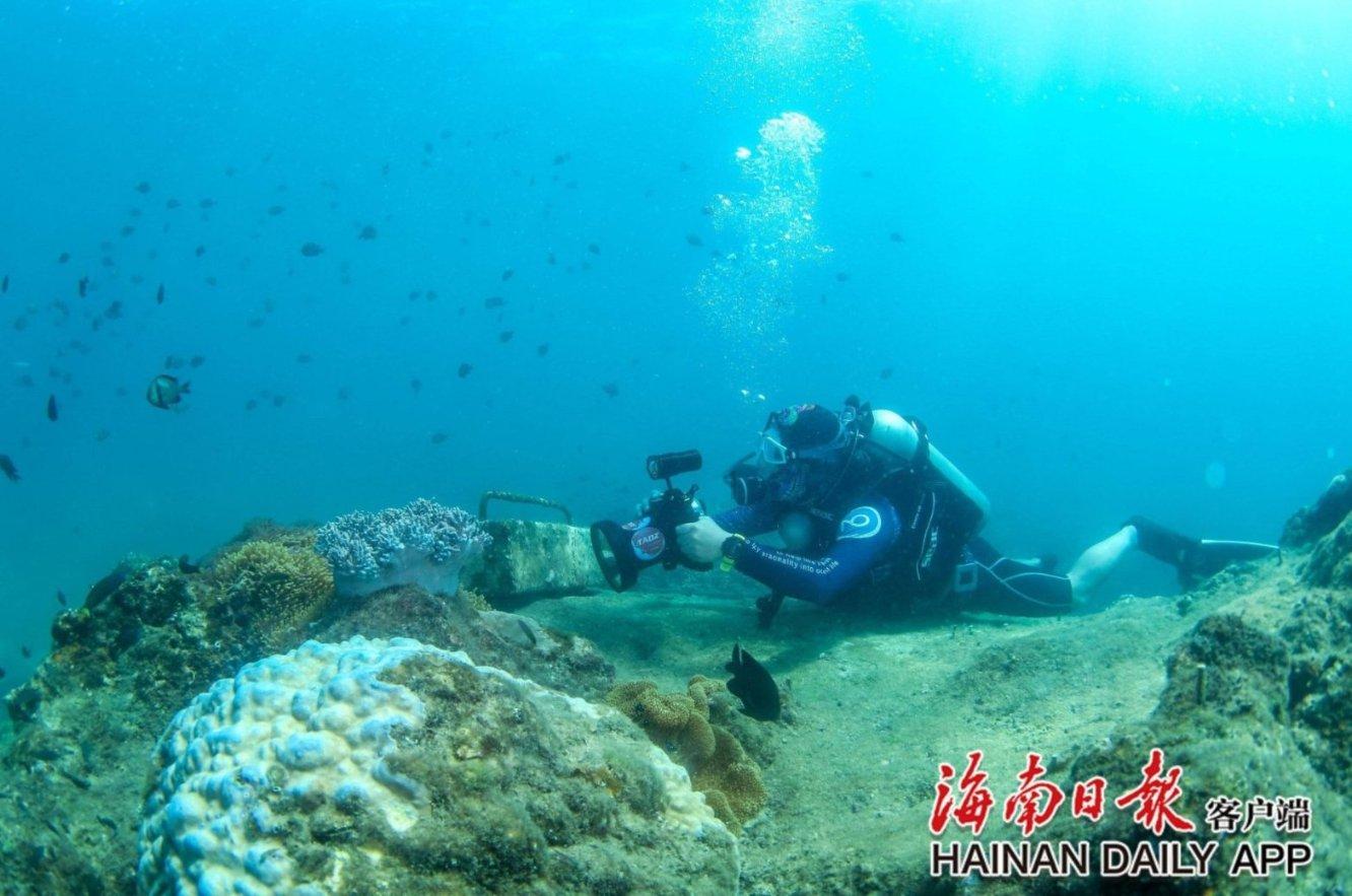 车旺科技全链路数字化增值服务 获评中物联货运物流行业创新实践优秀案例