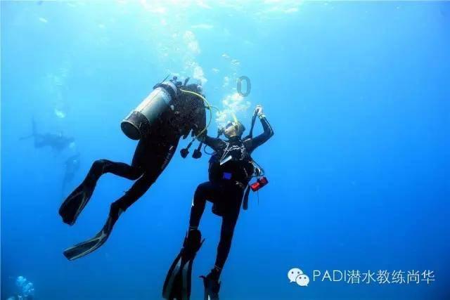 球球大作战下载最新版
