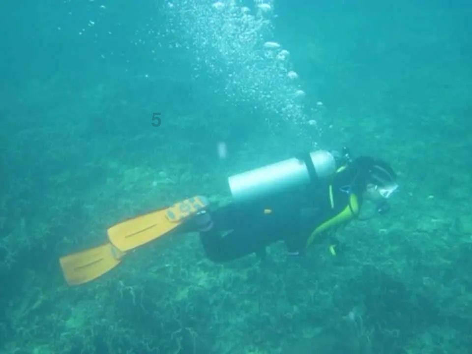 燃烧吧大脑装瓶子游戏