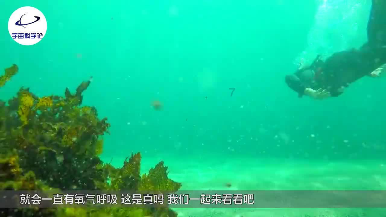福建省永泰县发布霜冻蓝色预警