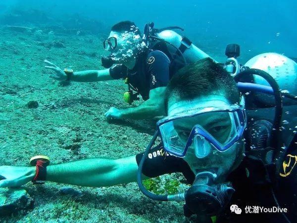 新春美好数字生活节，山东移动淄博分公司携300多家合作商参与