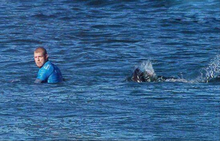 牛油果面包