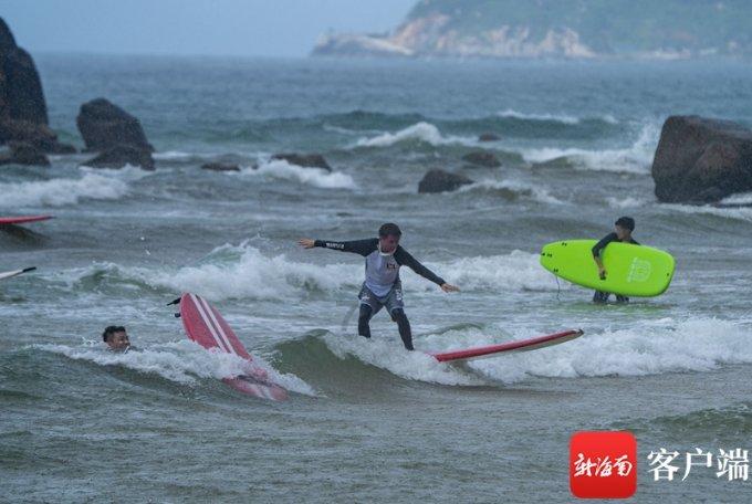 不要就把它们丢进垃圾桶?被抛弃后,两只小狗显得格外胆小