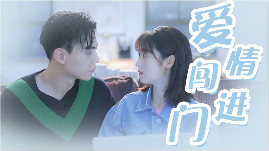 动物拼一拼