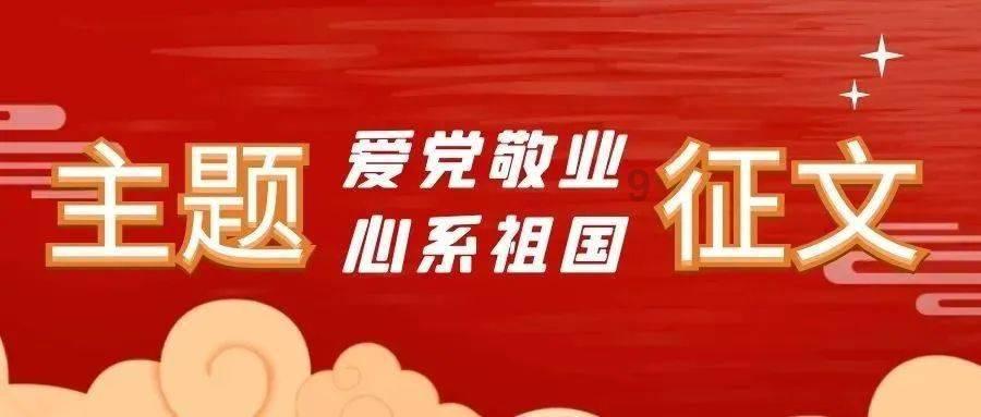 新飞飞