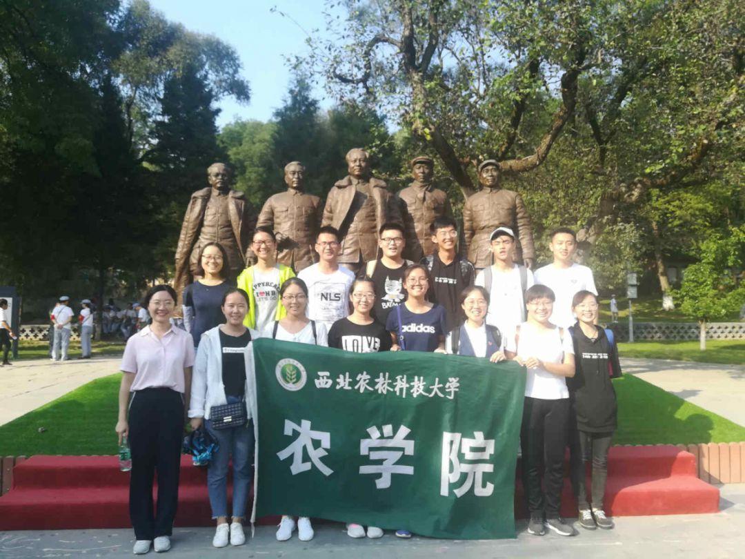 了解比亚迪G5全景摄像头有4根线,分别是:红、黑、黄、白,这些线是怎么外接的,汽车电瓶电压是12v的?的最佳问答网页