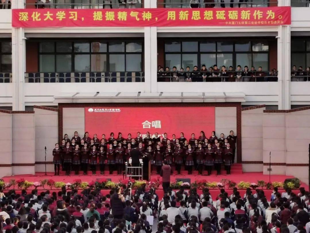 救援可爱小松鼠