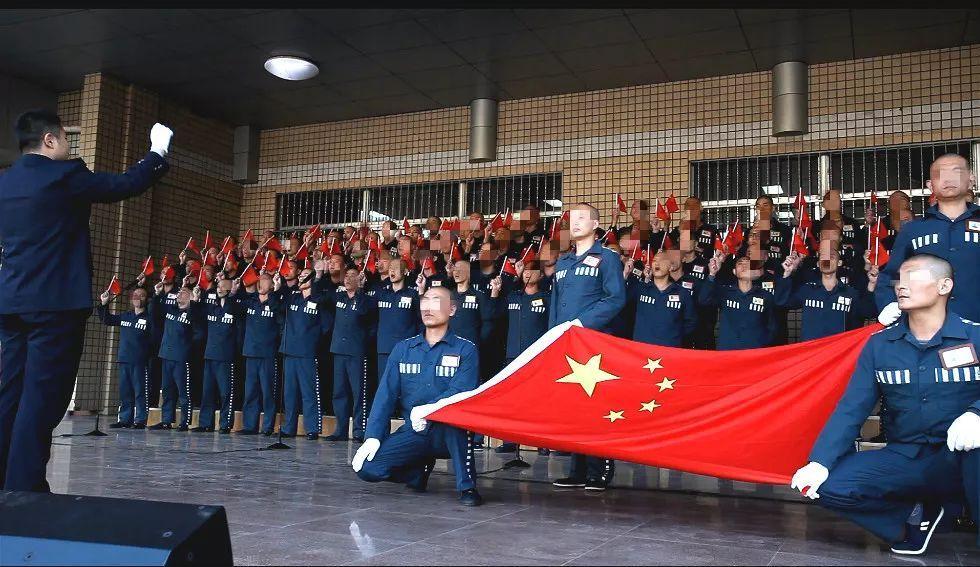 组装机械章鱼龙