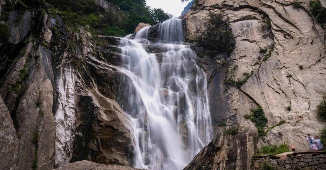 县令刚上任就被屠夫当街臭骂,县令:赏金子十两,几日后屠夫暴毙