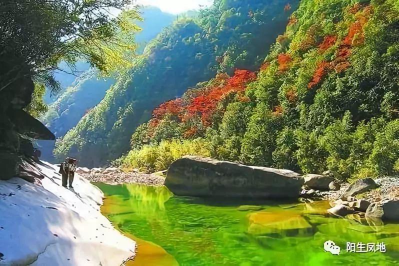 为农历龙年特别打造 布加迪Chiron特别版官图发布