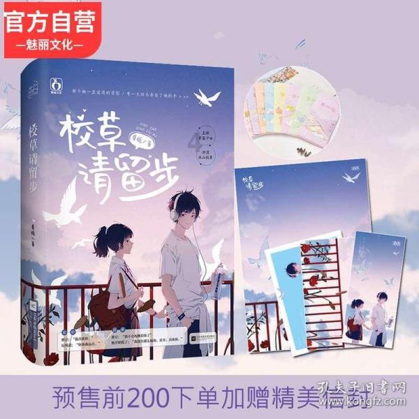 暖阳下的女孩们