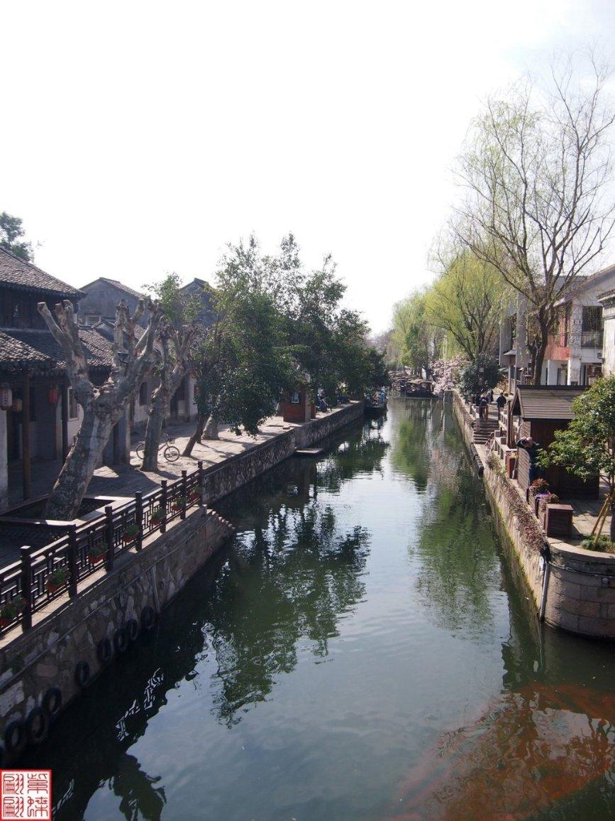 探索打死一只蜜蜂会引来蜂群吗?,解答你的疑问