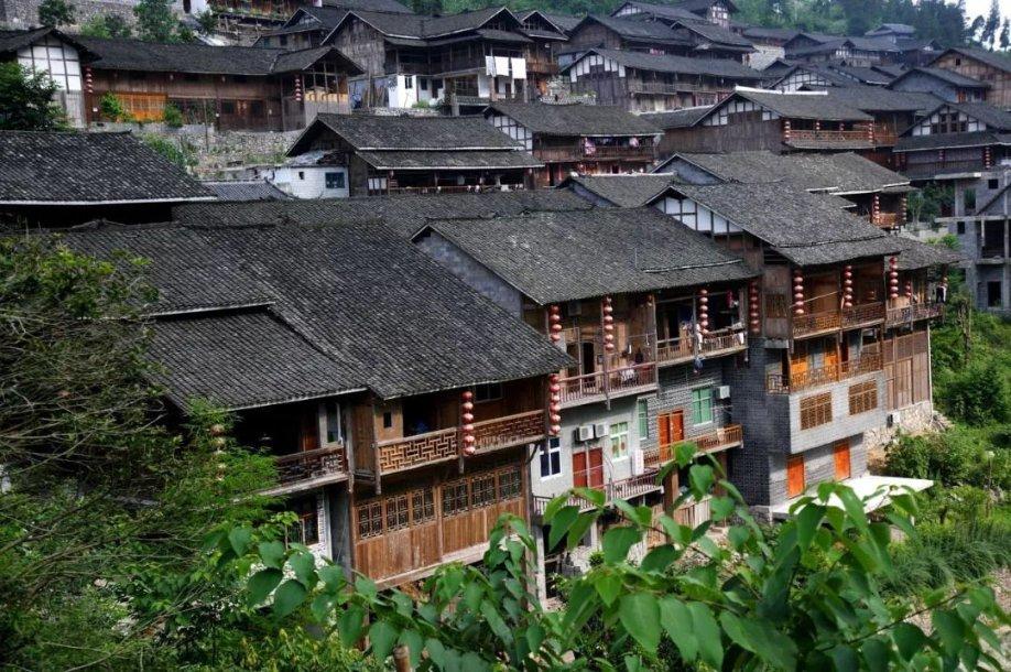 动物帮帮忙保卫家园