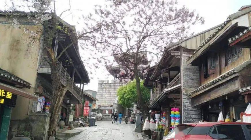 冬农作物喜丰收 助农增收效益好