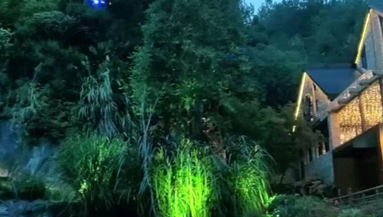 创作猫